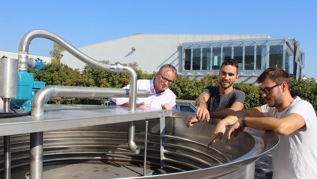 Mark Iten, Raphael Iten und Fabio Zulli mit der Tankanlage, die Ammoniak aus der Gülle trennt. (Bilder zVg)