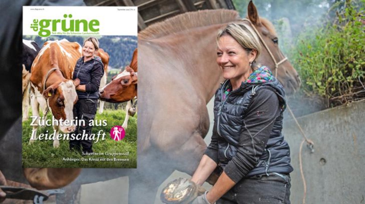 Das Oktober Heft von «die grüne» bespricht Themen wie Getreidebau, Futtermittel und Haltungssysteme.