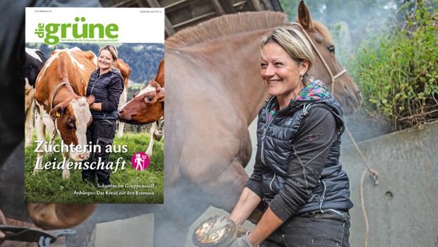 Das Oktober Heft von «die grüne» bespricht Themen wie Getreidebau, Futtermittel und Haltungssysteme.