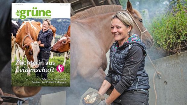 Das Oktober Heft von «die grüne» bespricht Themen wie Getreidebau, Futtermittel und Haltungssysteme.