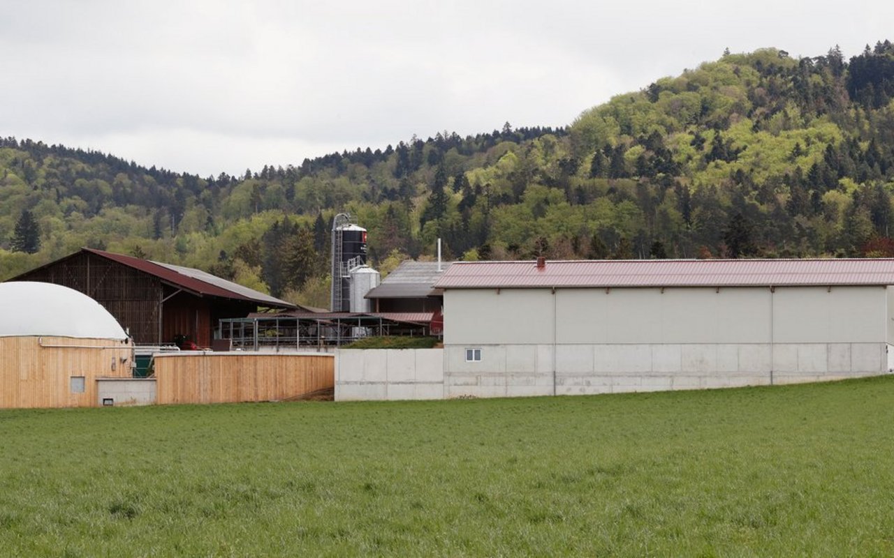 Seit März 2019 vergären Biglers in Moosseedorf ihre Gülle in der Biogas-Anlage.Der Gülle-Separator befindet sich in der neuen Halle, rechts im Bild.