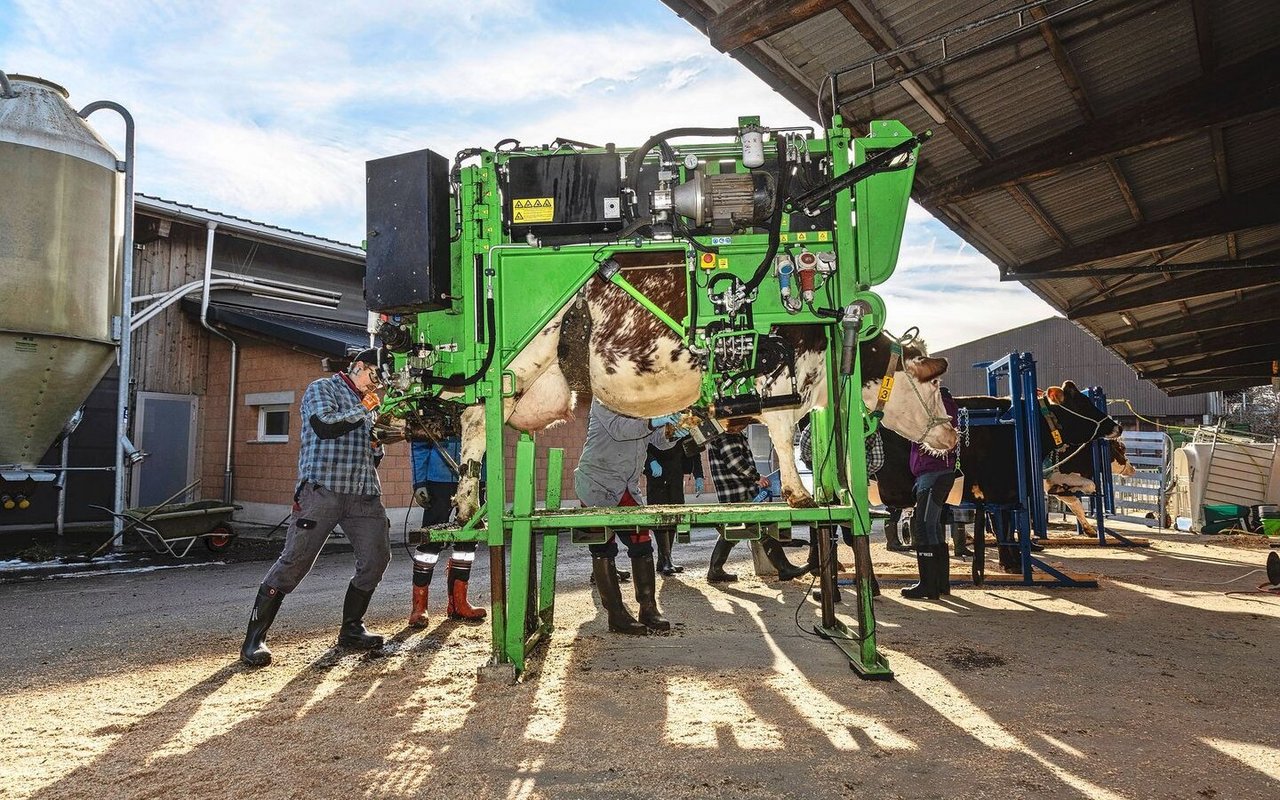 Am Kurs für die funktionelle Klauenpflege lernen die Teilnehmenden die Klauenpflege nach der 5-Schritte-Methode und wissen über die wichtigsten Klauenerkrankungen Bescheid. Zudem besteht die Möglichkeit, mit verschiedenen Klauenständen zu arbeiten.