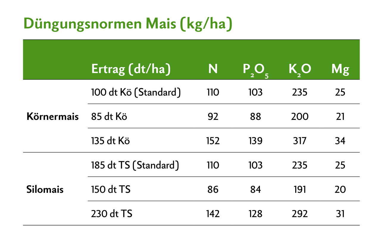 Die Düngungsnorm beim Mais wird neu dem Ertrag angepasst. Bei Körnermais beträgt die Korrektur 1,2 kg N pro dt Ertragsdifferenz zum Standardertrag, bei Silomais 0,7 kg N.