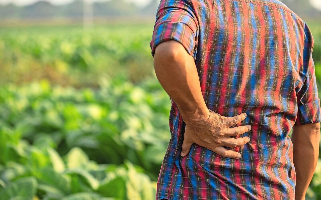 Gesundheit ist der wichtigste von zwölf Lebensbereichen für die bäuerliche und nichtbäuerliche Bevölkerung.