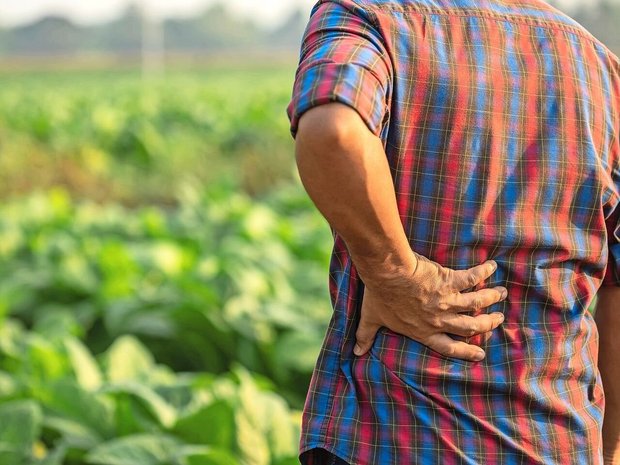 Gesundheit ist der wichtigste von zwölf Lebensbereichen für die bäuerliche und nichtbäuerliche Bevölkerung.