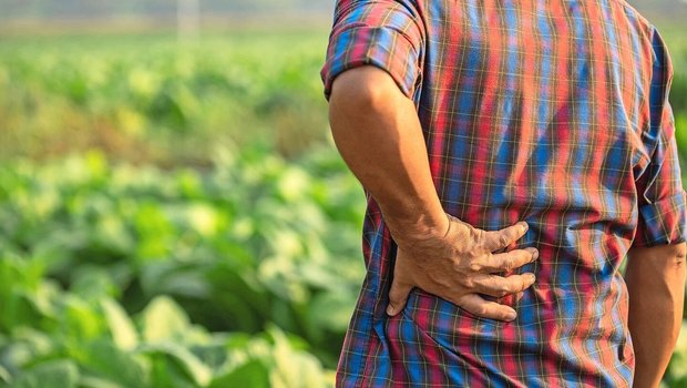 Gesundheit ist der wichtigste von zwölf Lebensbereichen für die bäuerliche und nichtbäuerliche Bevölkerung.