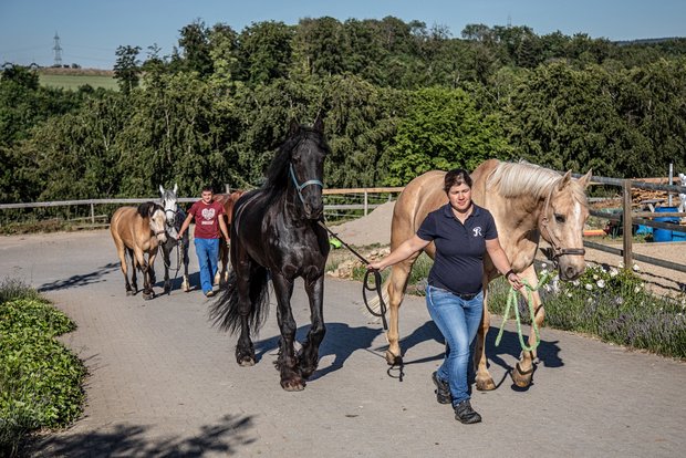 Landwirtin Ursula Studer ist Partnerin für Ross und Reiter Aurélien Giroud unterstützt Ursula Studer in einem 80-Prozent-Pensum, ausserdem hat Studer eine Tagesmutter angestellt. Bild: Pia Neuenschwander