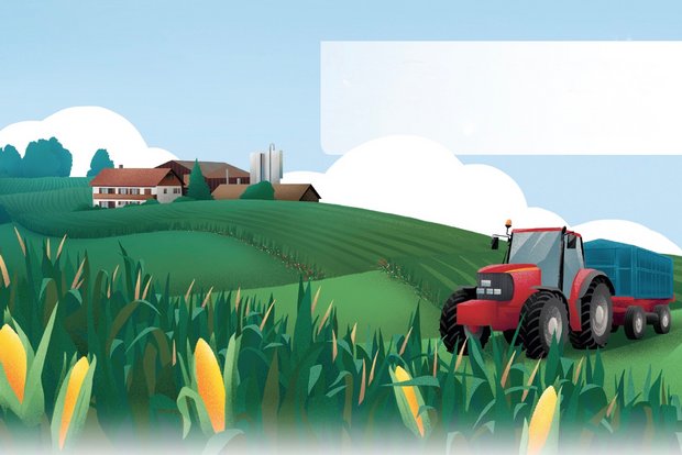 Gentechnik und Genom-Editierung in der Landwirtschaft in Faktenblatt und Video erklärt Das Faktenblatt der Schweizer Akademie der Naturwissenschaften zur Genom-Editierung. Bild: SCNAT