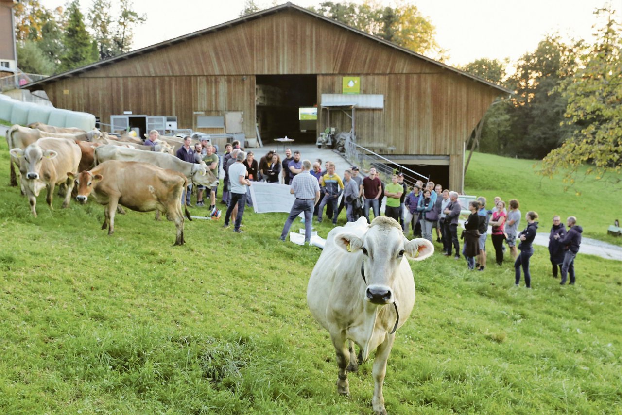 Kuh und Gras standen am Provieh-Anlass in Küssnacht im Mittelpunkt. Weidefachmann Remo Petermann brachte den Teilnehmenden die Vorteile der Weide nahe.(Bild Reto Betschart)