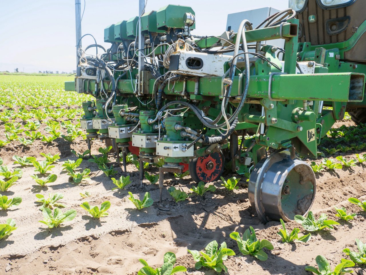 Die Betteravia Farms war die erste Firma in den USA, die sich einen Robocrop von Garford anschaffte. In der Schweiz sind bereits einige Robocrop von Garford im Einsatz. Bild: David Eppenberger