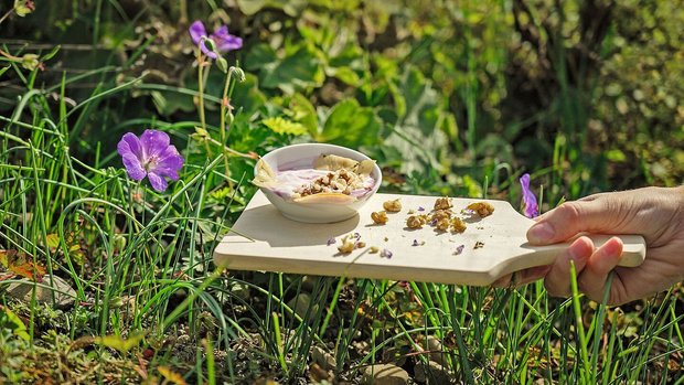 Die Transformation z Die Transformation zu nachhaltiger Landwirtschaft und Ernährung ist ein wichtiges Forschungsfeld am FiBL.