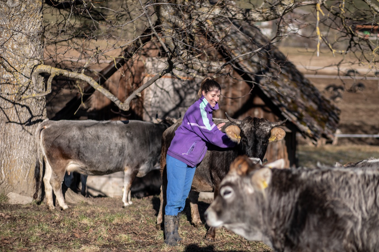 Anna Böhlen bringt die fünf Mutterkühe mit ihren Kälbern auf die Weide. Die Fleisch-Direktvermarktung ist aktuell der wichtigste Betriebszweig. Bild: Pia Neuenschwander