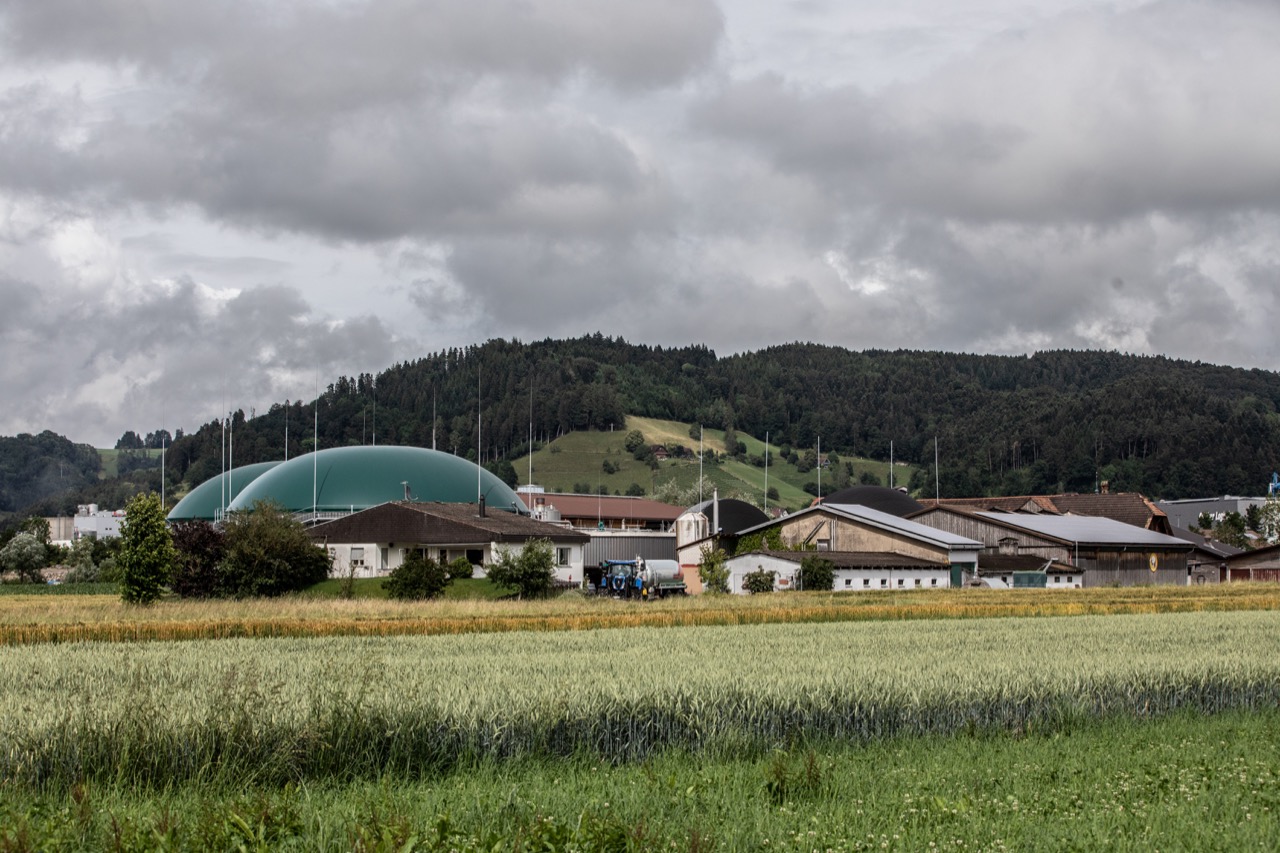 Zum Wiggerhof im luzernischen Altishofen gehört auch eine Biogas-Anlage, die jedes Jahr Strom für rund 1000 Haushalte produziert. Bild: Pia Neuenschwander