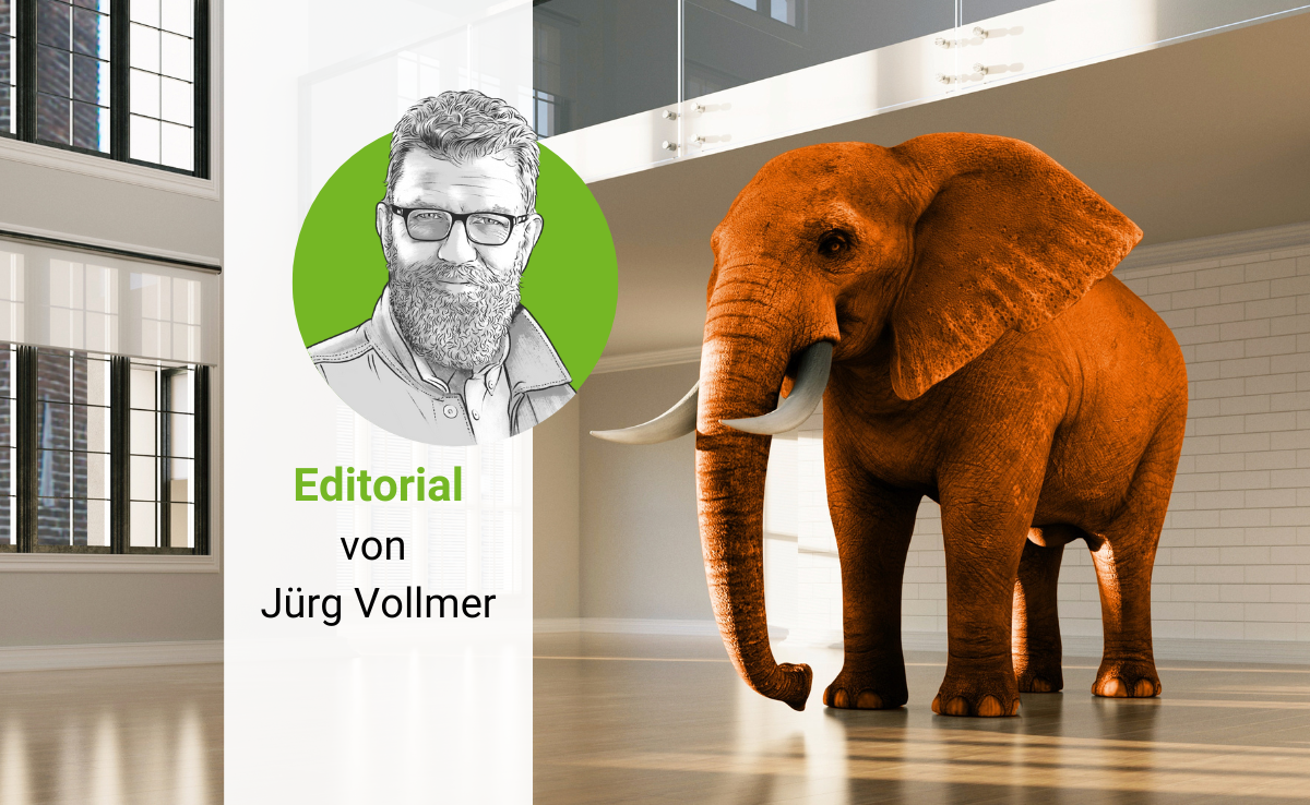 Ein oranger Elefant in einem leeren Raum, daneben das gezeichnete Porträt von «die grüne»-Chefredaktor Jürg Vollmer.