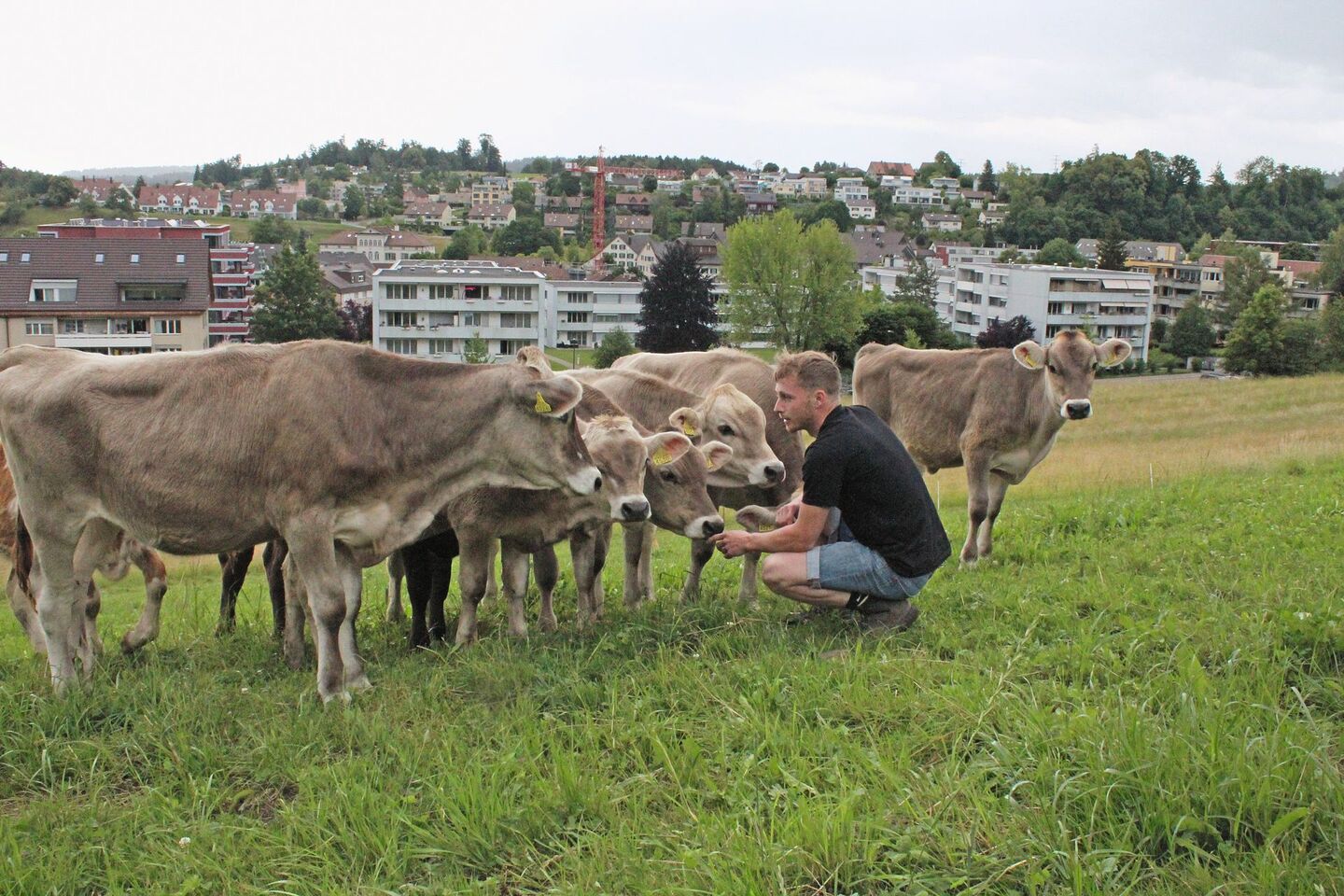Milch und Hafer für den Cappuccino vom Birkenhof - diegruene.ch | Die Grüne