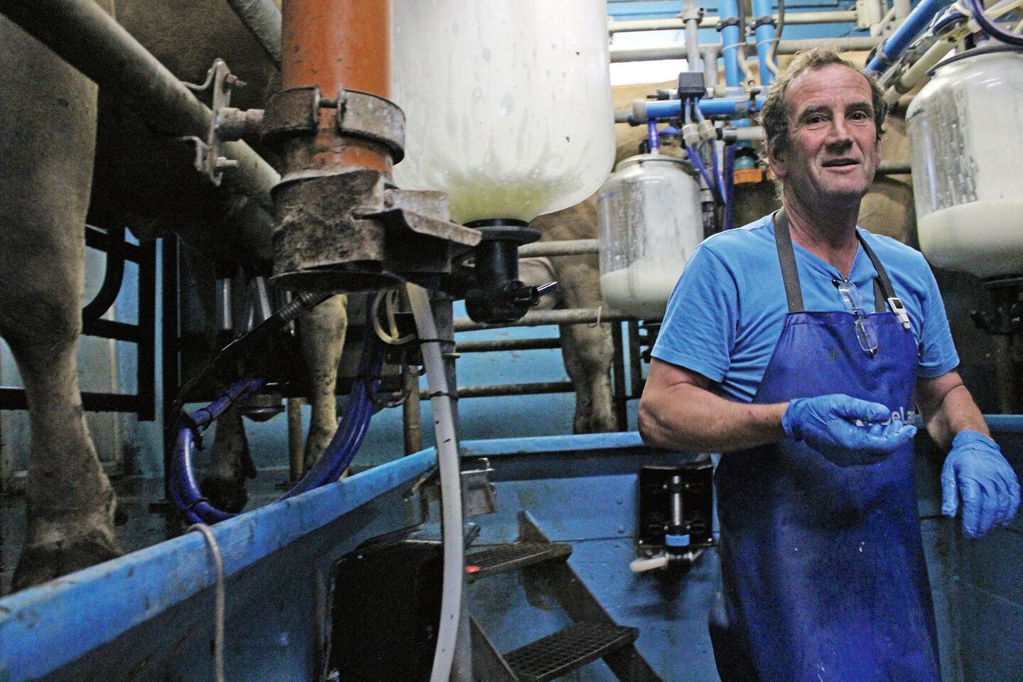 Milch und Hafer für den Cappuccino vom Birkenhof - diegruene.ch | Die Grüne